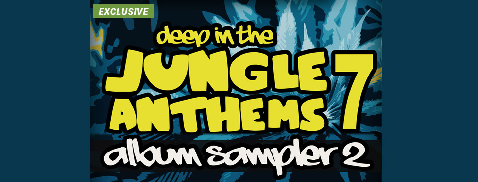 Various - Deep In The Jungle Anthems 7 - LP Sampler 2 - Deep In The Jungle