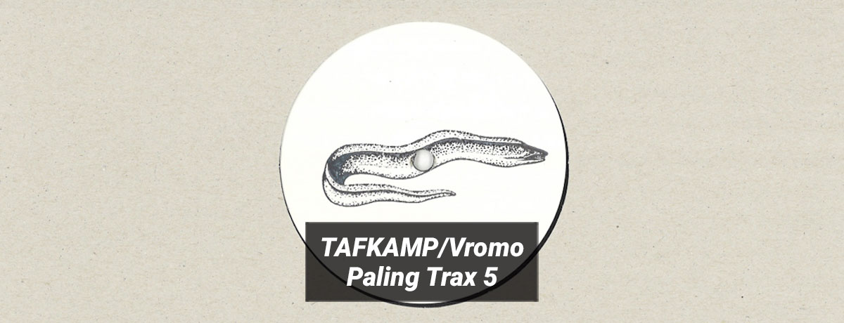 TAFKAMP/Vromo - Paling Trax 5 (Paling Trax)