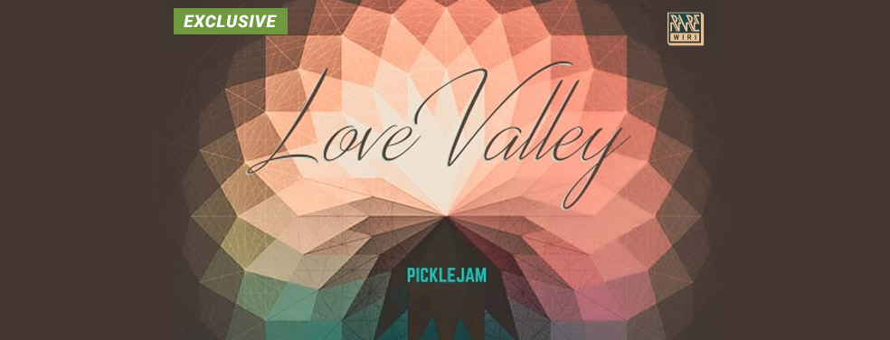 Picklejam - Love Valley (Rare Wiri Spain)