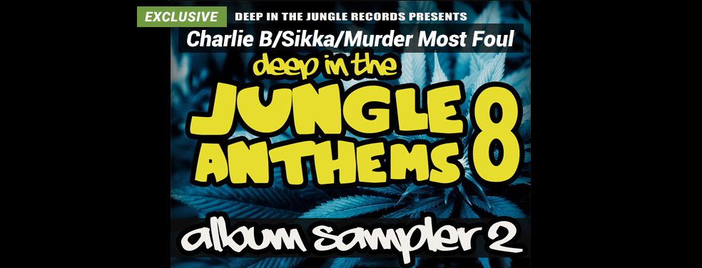Charlie B/Sikka/Murder Most Foul - Deep In The Jungle Anthems 8 - LP Sampler 2 (Deep In The Jungle)
