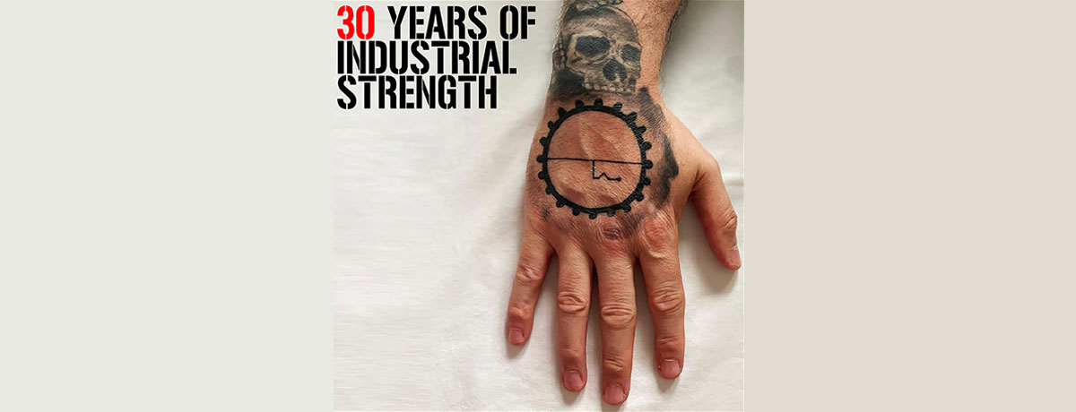 Various - 30 Years Of Industrial Strength (Explicit) (Industrial Strength US)