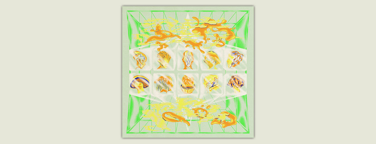 The Sound Of Kokolo 2025