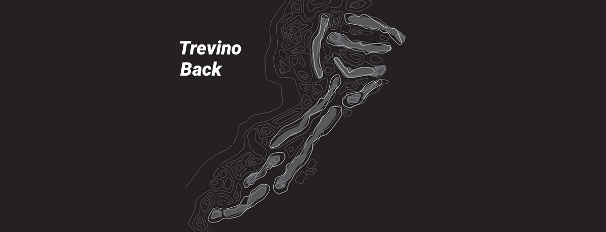 Trevino - Back (Birdie)
